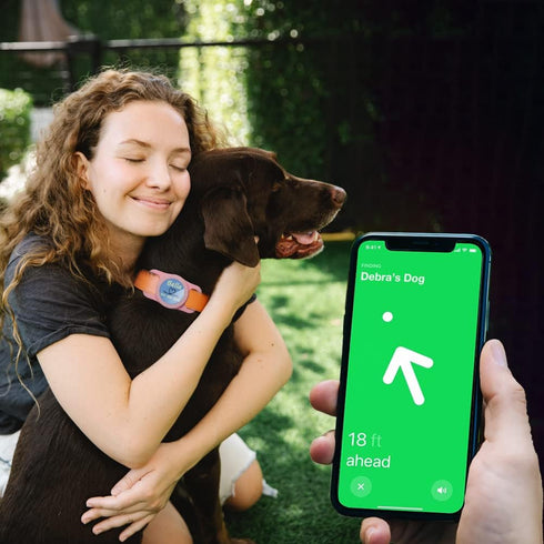 Airtag Dog Collar Holder, Silicone Case for Apple Air Tag Tracker, Cover for Pet Collars