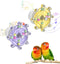 Pawfly 2 Pcs Bird Toys for Parakeets, Colorful Spinning Wheel Chew Toys,