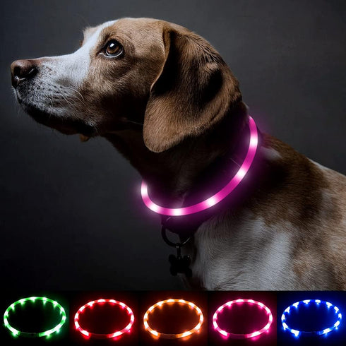 BSEEN Light Up Dog Collar, Silicone LED Rechargeable Glowing Puppy Collar, Pink