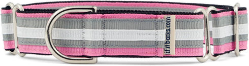 If It Barks 1" Martingale Collar for Dogs, Adjustable Nylon, USA Made, Medium, Spunky
