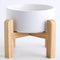 Petygooing White Raised Ceramic Dog Bowl for Small Breeds, Anti Slip Rubber Stand, 13.5 OZ Pet Feeding Dish