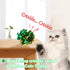 Original Mylar Crinkle Balls Cat Toys, 24 Pack