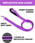 6ft Dog Leash for Small Medium Large Dogs | One-Sided Reflective Nylon | Padded Handle | 3/4 inch Wide | Purple
