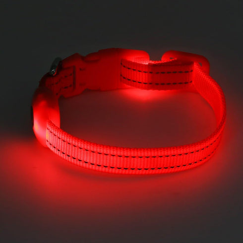 Light Up Dog Collar for Small Dogs, Vizpet XS Adjustable Nylon Collar, USB Rechargeable Bright Safety Pet Collar for