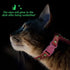 Cat Harness and Leash Set, Soft Nylon Escape Proof Adjustable for Kittens, Glow in The Dark, Moons Stars (Pink)