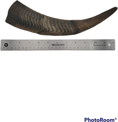 Chews Dried Goat Horns Dog Chew - Large 1 pc