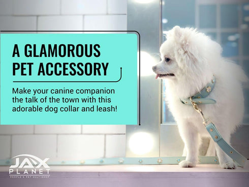 PU Leather Rhinestone Dog Collar, Bling Collar with Crystals and Flower Design for Small Dogs, Indoor & Outdoor Use