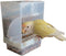 Hypeety Automatic Bird Feeder, No Mess Pet Feeder Seed Food Container for Budgerigar Canary Cockatiel Finch