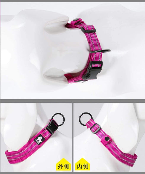 Truelove TLC5011 Dog Collar - Reflective Premium Duraflex Buckle, High Grade Nylon Webbing, Fuchsia, L