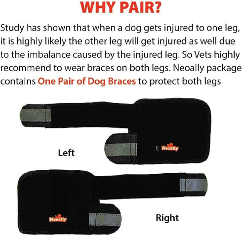 Pair of NeoAlly Dog Front Leg Braces, Canine Carpal Support with Safety Reflective Straps for Front Hock, L/XL Pair