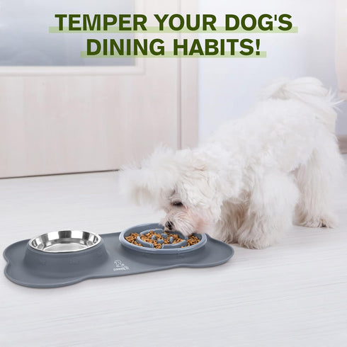 Pecute Slow Feeder Dog Bowls, Non-Spill Silicone Mat, Food-Grade Safe Bowls, Stainless Steel Water Bowl