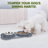 Pecute Slow Feeder Dog Bowls, Non-Spill Silicone Mat, Food-Grade Safe Bowls, Stainless Steel Water Bowl