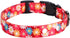 Rhea Rose 1 Inch Shock Collar Replacement Strap, Red Daisy, 2 Holes, Compatible with Most Underground Dog Fences