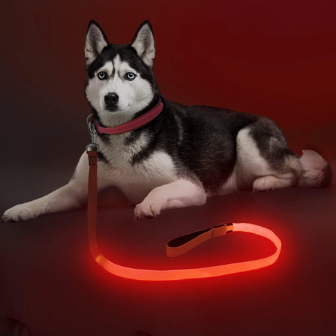 LED Dog Leash - 4 Feet Red Light Up Nylon Webbing, Micro USB Rechargeable Safety Standard Leash for Dogs
