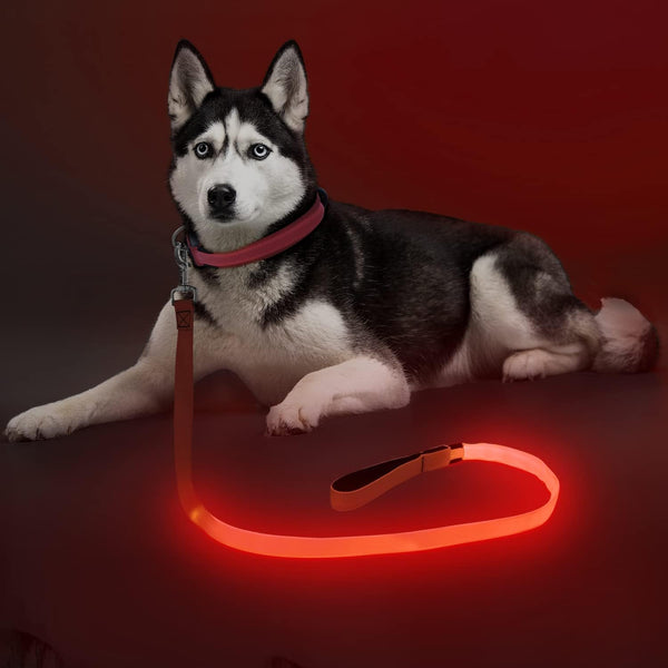 LED Dog Leash - 4 Feet Red Light Up Nylon Webbing, Micro USB Rechargeable Safety Standard Leash for Dogs
