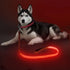 LED Dog Leash - 4 Feet Red Light Up Nylon Webbing, Micro USB Rechargeable Safety Standard Leash for Dogs