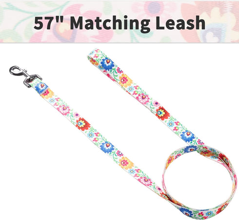 Ihoming Puppy Collar and Leash Set for Daily Outdoor Walking, White Colorful Flowers Design for Extra Small Dogs Cats