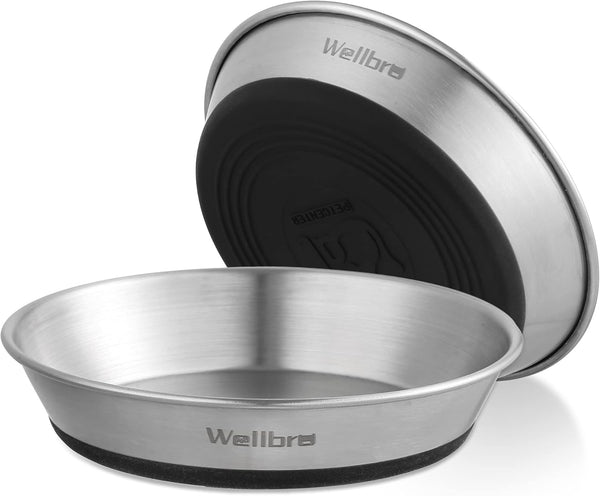 Cat Bowls, 2 Pcs Stainless Steel Bowls for Food and Water, Non-Slip Shallow Dishes for Small Dogs and Cats