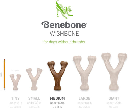 Benebone 2-pack Wishbone/Dental Durable Dog Chew Toys, Real Bacon, Medium, Made in USA