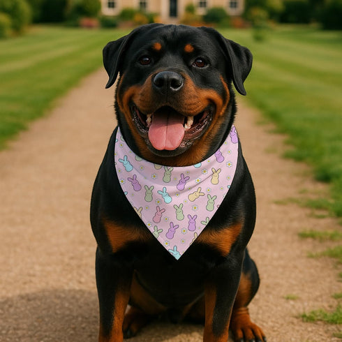 YJIKRTVT Easter Dog Bandana, Pastel Bunny Rabbit Triangle Pet Scarf for Small Medium Dogs, Spring Holiday Party