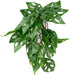 WOLEDOE Reptile Plants for Terrarium, Amphibian Habitat Decor Artificial Hanging Plants with Suction