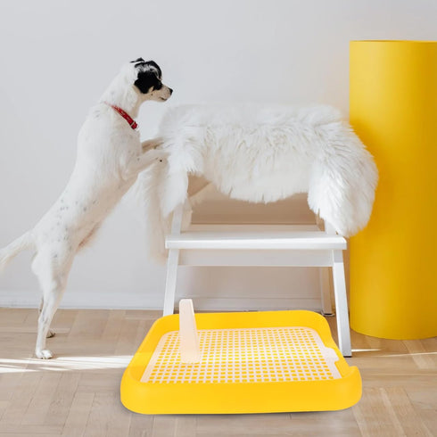 ULTECHNOVO Dog Litter Box Mesh Training Toilet Potty Tray for Puppy and Small Size Dog Indoor Dogs Potty Training Pads