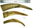 Chews Dried Goat Horns Dog Chew - Large 1 pc