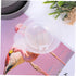 Cookset Backpacking Yardwe Portable Camping Cookware Lightweight for Outdoor Cooking Frying and Steaming Cooking Gear