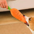 Tnyvm Pet Supplies Crinkle Dog Toy for Small, Medium, and Large Breeds, Cute Carrot with Soft Squeaker, Carrot Shape