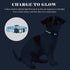 14 PCS Puppy Collars - Litter ID Collars Glow in The Dark Whelping Supplies, Soft Nylon Breakaway Colored Collars with