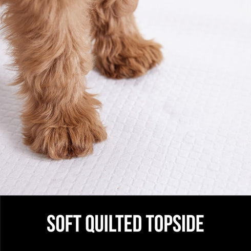 100 Count 22x22 5 Gorilla Guard Disposable Puppy Pads, in, Layer Pee Pads for Dogs, Absorbent Diaper Changing Pad, Dog