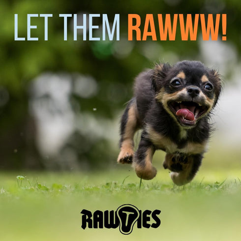 Freeze Dried Raw Beef Patties for Dogs, Quality Dehydrated 100% Raw Meat, No Fillers, Made in USA