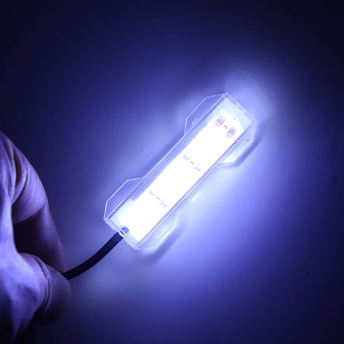 Betued Fish Light, Aquarium LED Light, Small Aquarium Water Plant Light, Soft LED Lamp