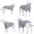 Lovelonglong Dog Pullover Sweatshirt for Small Medium Large Dogs, Gray XL, Autumn Winter T-Shirts