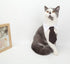 Bowtie for Little Puppy, Adjustable Handcrafted Formal Collar Neck Tie for Dogs & Cats (L, Black)