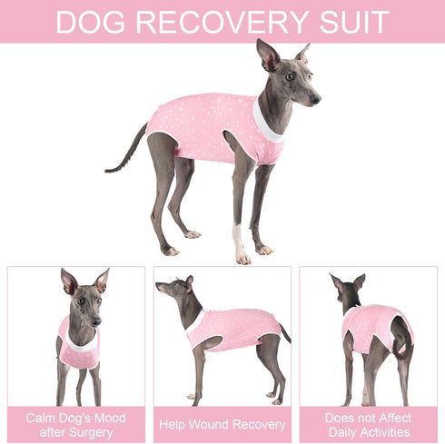 Dog Surgery Suit for Female Spay Recovery, Surgical Recovery Onesie for Small Medium Dogs, Pink Star/Large