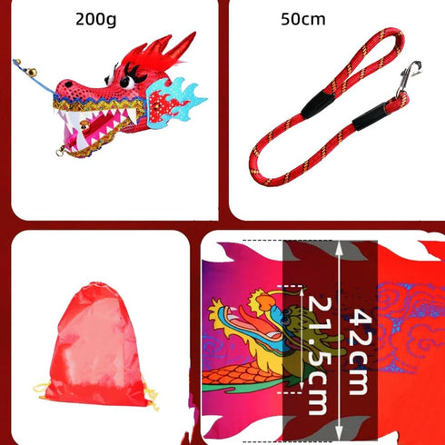 PAIKOOL 3D Set Dragon Poi with Plastic Dragon Head, Swing Rope and Hot Stamping Golden Ribbon Streamer, Outdoor Fitness