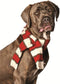 Chilly Dog White/Red Pet Scarf, Large Size