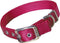 Hamilton Thick Nylon Deluxe Dog Collar, 1-Inch by 24-Inch Double, Red