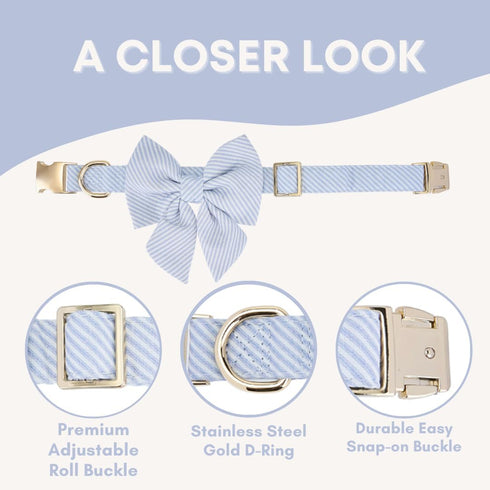 Adjustable Pet Bow Tie and Dog Collar for Small Medium Large Dogs - Cute Lady Bowtie Collar, Comfort Soft Cotton (Blue