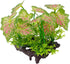 Smoothedo-Pets Aquarium Plants, 2pcs Plastic Artificial Fish Tank Decorations (Rainforest Leaf-Pink-Small-Set)
