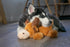 Cozie Cozie KONG Marvin The Moose Plush Dog Toy and Medium Baily The Blue Dog Toy Bundle
