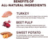 Pupford Freeze Dried Training Treats for Dogs & Puppies, 240+ Bites (Turkey & Veggies, 5 oz)