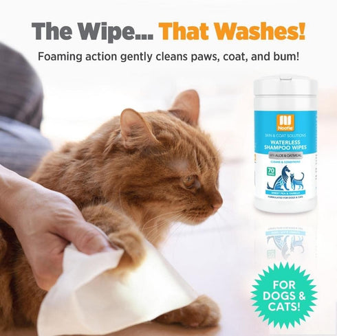 Nootie Waterless Shampoo Wipes for Dogs & Cats - Long Lasting Sweet Pea Vanilla Fragrance, 70 Count