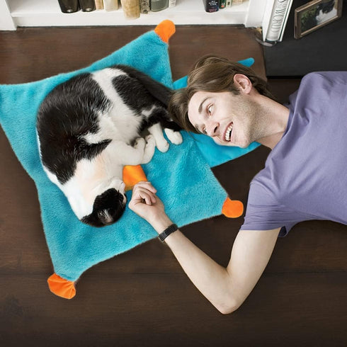 AWOOF Interactive Catnip Mat - Soft and Fun Cat Toy for Indoor Cats