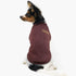 Idepet Pet Dog Classic Knitwear Sweater, Soft Thickening Warm Dog Coat for Small Dogs (XS, Brown)