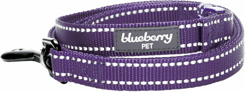 Durable 3M Reflective Classic Dog Leash 4 ft x 1", Violet, Large by Blueberry Pet Essentials