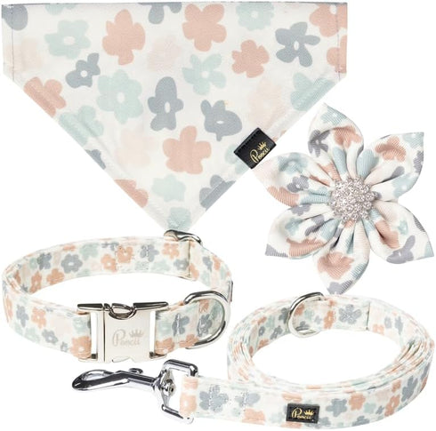 4 Feet Long Dog Leash - Cute, Stylish, Durable Accessories for Small, Medium, and Large Pets, Training and Walking