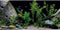 AWERT Vinyl Underwater Aquatic Plant Fish Tank Background, Stone River Bed & Lake 72x24 inches