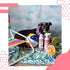 Natural Shine Enhancing Dog Leave-in Conditioning Spray - Grapefruit Citrus, 1 Gallon